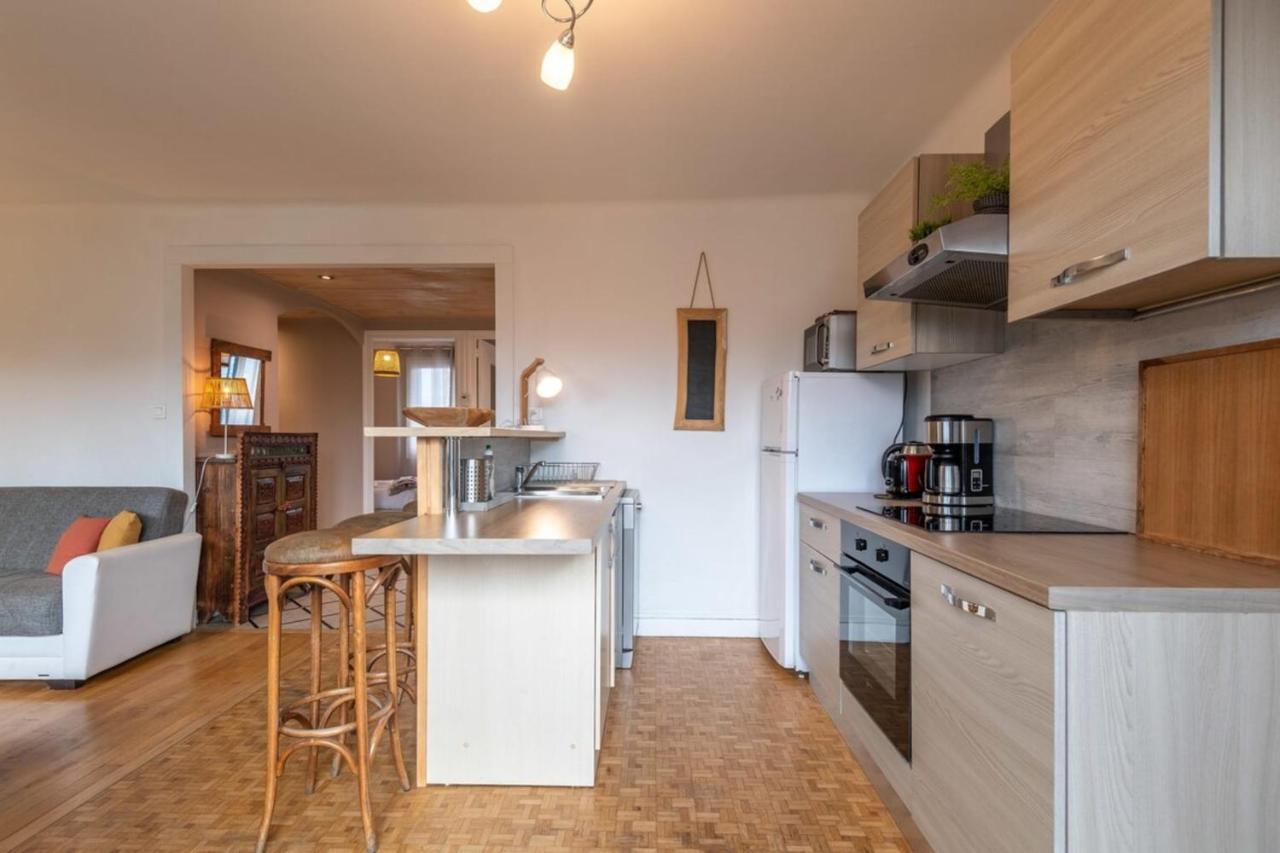 Petit Port Furnished Flat Apartment Annecy Bagian luar foto