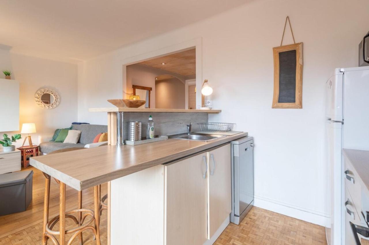 Petit Port Furnished Flat Apartment Annecy Bagian luar foto